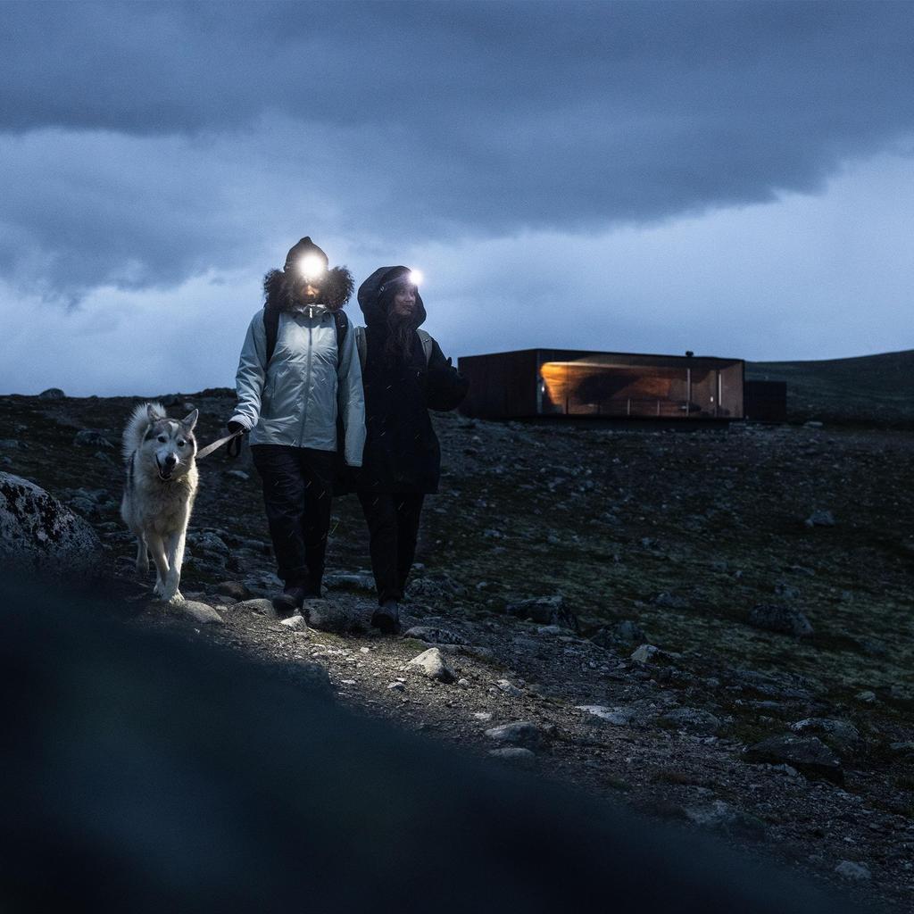 Рюкзак AllTrail Daypack 25 л, выцветший хаки [Thule]