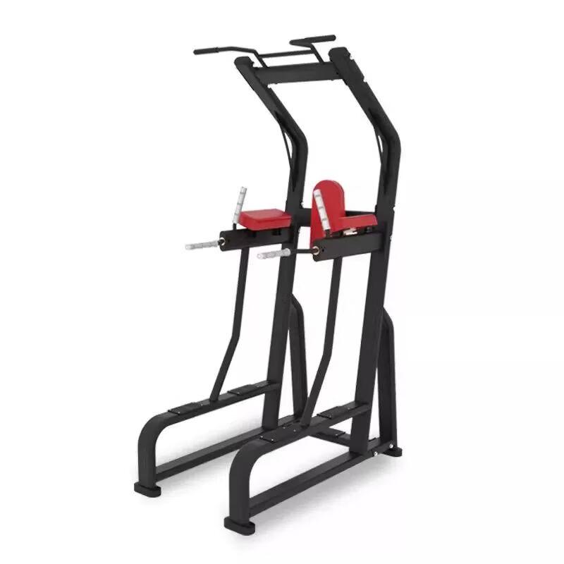 Qiuqiao Multi-functional Pull-up & Dip Station