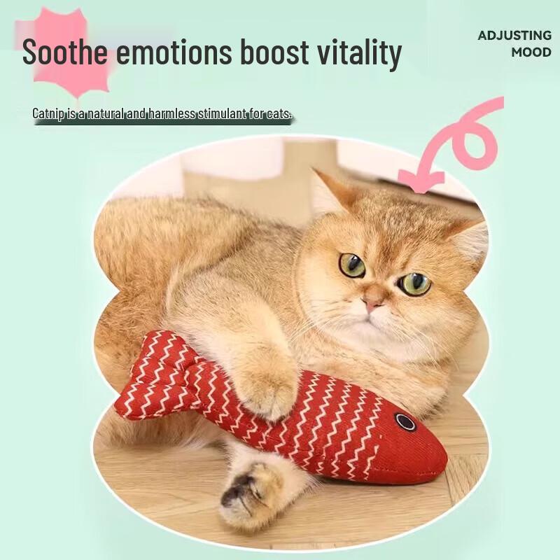 Hoopet Catnip Fish Toy
