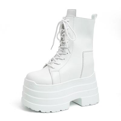 2025 Новые ботинки на высоком каблуке 10 см для женщин Модные черные на шнуровке в панк-стиле Осенняя обувь для косплея Готические ботинки на платформе Bottes Femme