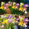 Flower Decor Solar Garden Lights Butterfly Design Garden Courtyard Lamp  Landscape Lighting