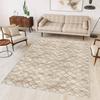 Washable Printed Carpet RVGHOME0348