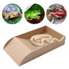 Smooth Tortoise Feeder With Platform Turtle Tank Resting Terrace Reptile Water Bowl  Aquarium