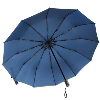 Zruier Складной зонт 12 Легкий складной зонт для мужчин и Прочный 12 Ветрозащитный и Ручной Тайфун и Сильный дождь Сезон дождей Унисекс [Экстра