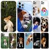Beagle Dog Phone Case for Iphone 5 5s 2020se 6 6s 7 8 Plus X 10 XR XS 11 12 13 Mini Pro MAX Black Tpu Back Cover