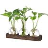 with Wooden Tray Hydroponics Glass Vase Bud Vases Bulb Vase  Home Decoration