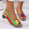 Women High Heel Sandals 2024 Mixed Colour Thick Heel Fish Mouth Shoes Buckle Fashion Roman Beach Zapatos Mujer 2024 Tendencia