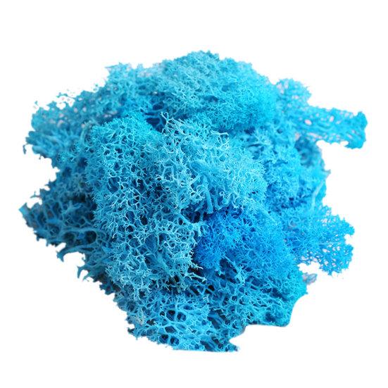 Искусственное растение консервированный цветок олений мох DIY Craft Garden Home Decor