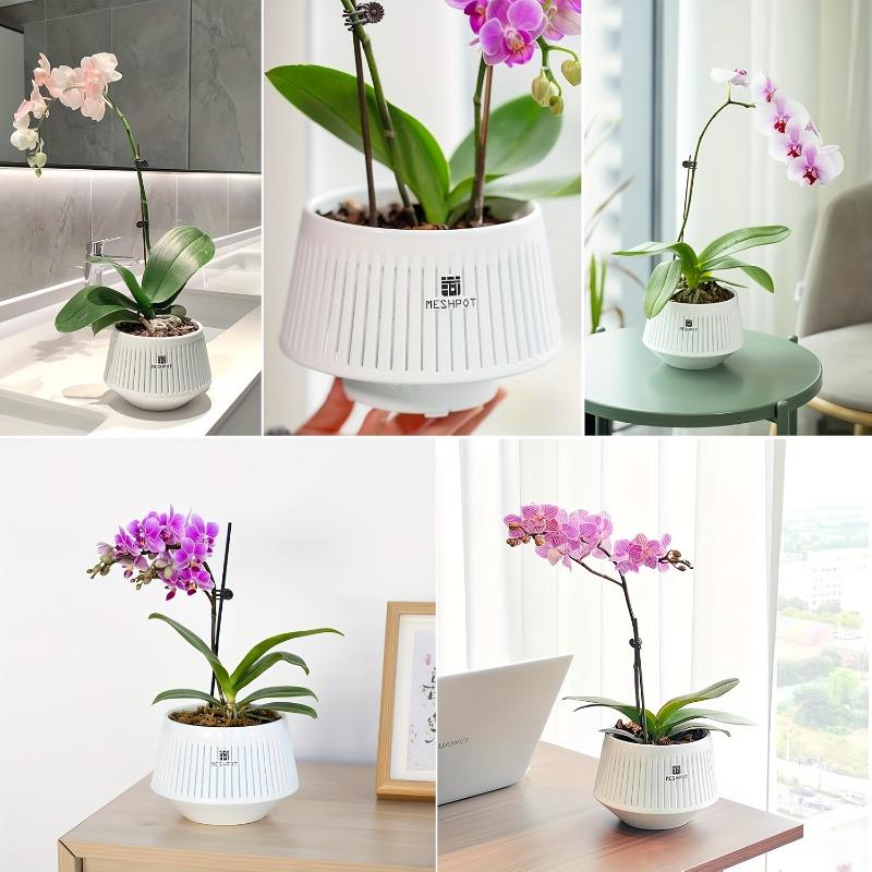 1PC 5-Inch Breathable and Leak-proof Orchid Pot, 1-piece Set, African Violet Flower Pot with Hollow Trim, PP Resin White Orchid Container with Tray