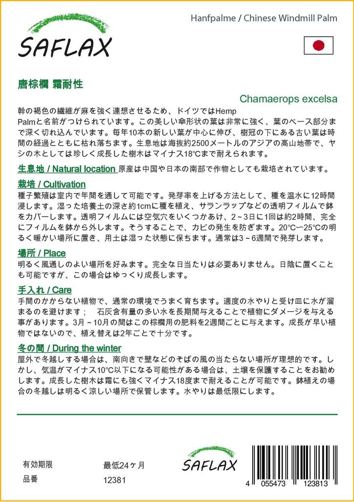 SAFLAX Пальма китайской ветряной мельницы - 10 семян - С горшечным субстратом для лучшего выращивания - Chamaerops excelsa