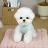 Wrapped Design Pet Onesie Full-Body Design Dog Clothes Spring Dog Belly Jumpsuit  Yorkshire Puppy