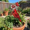 Decorative Floral Bird Garden Stake Acrylic Yard Lawn Ornament  Outdoor Lawn Use