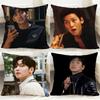 Горячая наволочка J-JJi Chang Wook Cushion Cover Удобная двусторонняя наволочка Идеально для Автомобиля Дивана Спальни и Многого Другого