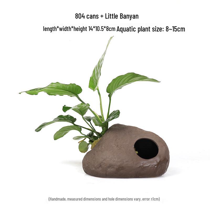 Aquatic Plant Moss Hideaway: Real Plant Jar for Fish & Shrimp