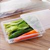 Kitchen Rectangular Refrigerator Drain Crisper Fish Box Plastic Fruit Box Food Sealed Frozen Storage Box