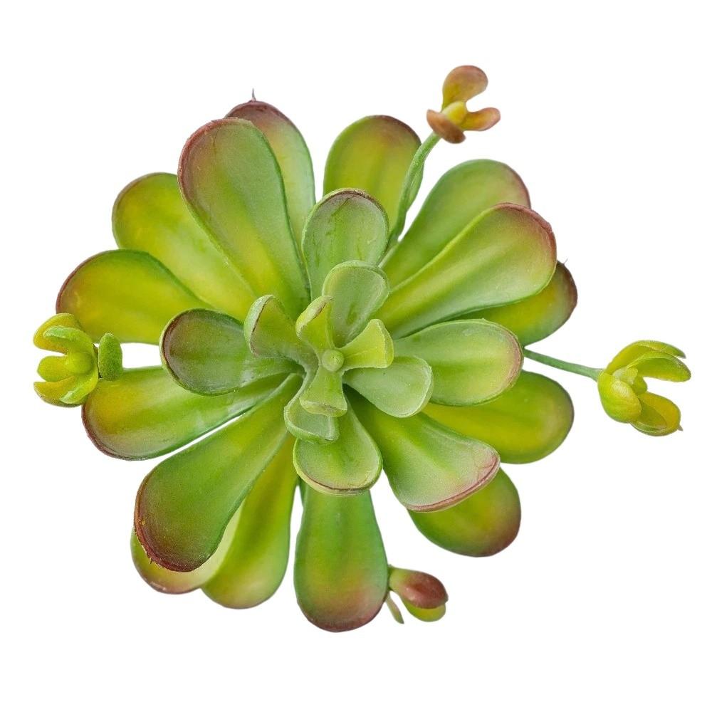 Fleshy Artificial Succulent Plant Lifelike Real Touch Fake Cactus Plastic Realistic Simulation Bonsai Plant Balcony Decoration