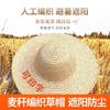 Farmer's Wide-Brim Straw Sun Hat