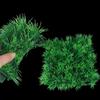 Lifelike Aquarium Ornaments Aquatic Plants Artificial Water Grass Grass Plant Lawn Fine Pine Needle