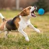 Собака жевательный звуковой мяч игрушка TPR след узор устойчивый к укусам молярный шарик для чистки зубов собаки игрушка для здоровья полости рта кукла