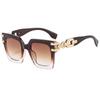 Popular modern sunglasses, European and American street photography ins Internet celebrity model cat eye sunglasses female LH