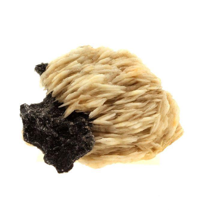 Pierres et Minéraux. Baryte + Sphalerite. 163.0 ct. Les Cèdres, Saint-Laurent-le-Minier, Occitanie, France.