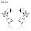 Lindon Women's Zircon Copper Alloy Earrings - Wedding Party Gift Pendant Earrings