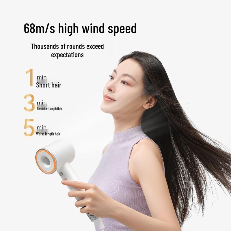 Jingdong Beauty High-Speed Negative Ion Hair Dryer with Plasma CN plug (adapter included)