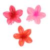 Seaside Vacation Hair Clip Back Of The Head With Multi-Color Optional Bauhinia Clip