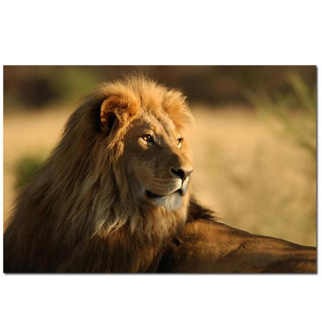 African Elephant Lion Indian Animal Landscape Canvas Painting Wall Art Picture Print and Poster Modern Home Decoration No Frame