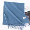 New Solid Color Maillard Imitation Cashmere Scarf for Women Autumn and Winter High End Warm Shawl Simple Scarf