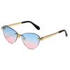 Fashion cat eye marine sunglasses new metal trimmed sunglasses catwalk wear triangle glasses