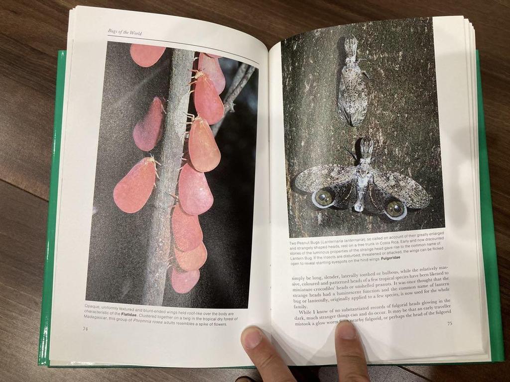 [ИСПОЛЬЗОВАН] Жуки мира Поиск образцов насекомых