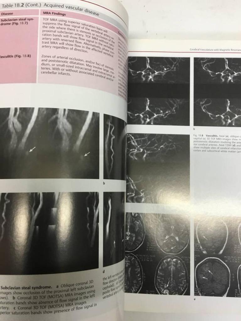[USED] Hospital disposal book: Differential Diagnosis, large-format medical book