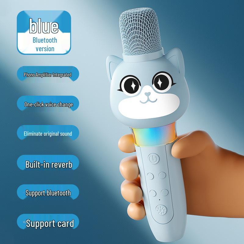 Wireless Kids' Karaoke Microphone & Speaker: Echo, Singing, & Early Education Toy for Little Girls