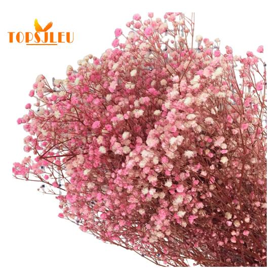 Букет эониума, сушеные цветы, яркий цвет, не выцветает, простота в уходе, натуральная сушеная гипсофила, сцена украшения ко Дню святого Валентина.