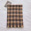 Autumn and Winter Fashion Warm Shawl Imitation Cashmere Fringed Thickened Scarf Decoration Classic Plaid Printing Long Towel