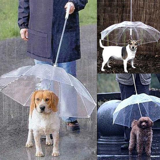 Dog Walking Waterproof Clear Cover Built-in Leash Rain Sleet Snow Pet Umbrella