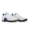 Air Jordan 12 Low Golf Белый Игровой Королевский Мужские DM9015-105