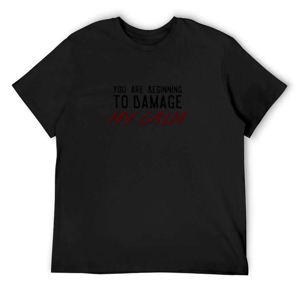 You Are Beginning To Damage My Calm T-Shirt Cotton Graphic Tees Street Wear Mens T Shirts Casual Stylish