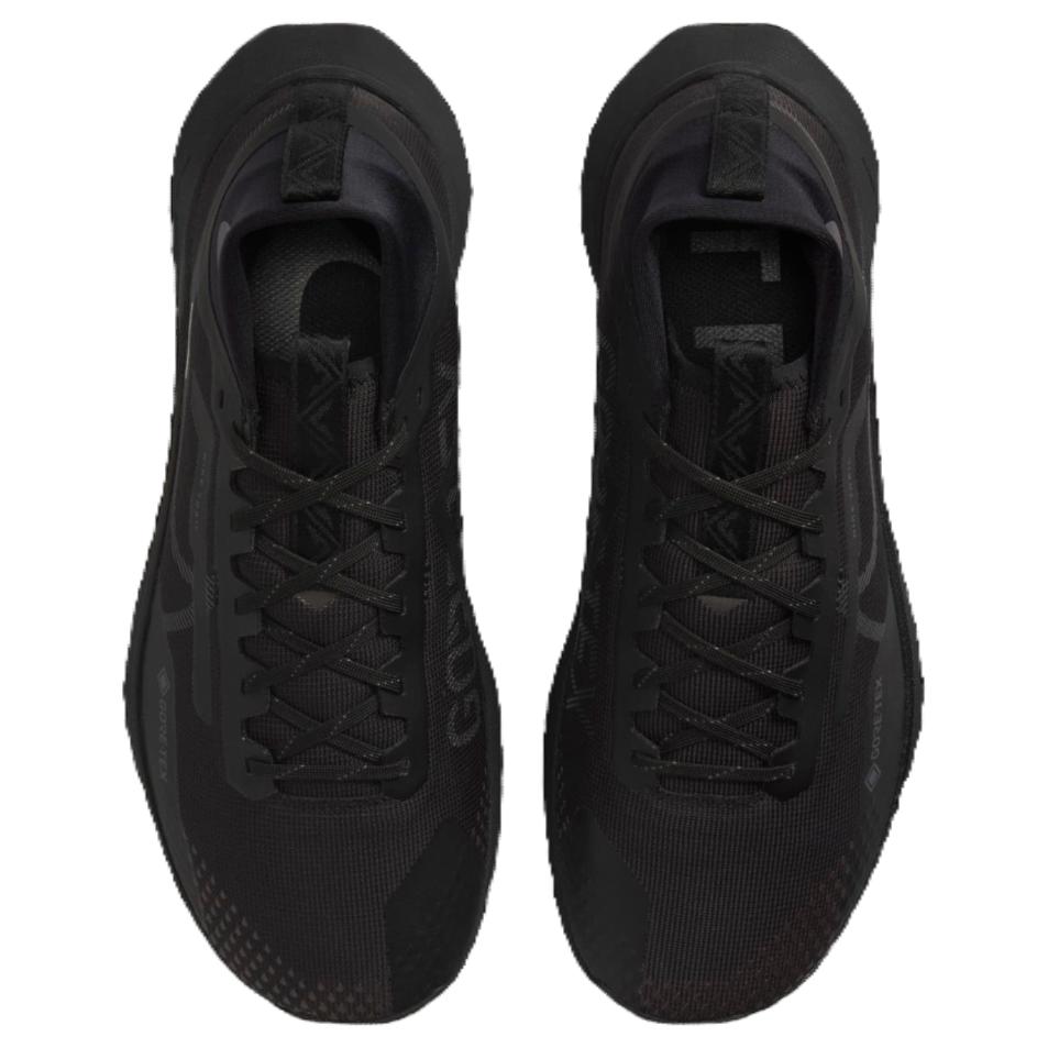 Nike Кроссовки React Pegasus Trail 4 GORE-TEX Black Anthracite Unisex Velvet-Brown HM9728-002