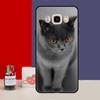 Чехол с британским короткошерстным котом для Samsung Galaxy J7 J5 J3 J1 A3 A5 2017 2016 J4 J6 Plus A6 A7 A8 A9 2018 задняя крышка