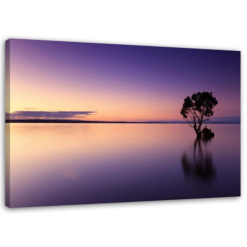 Canvas print, Tree on a lake nature
