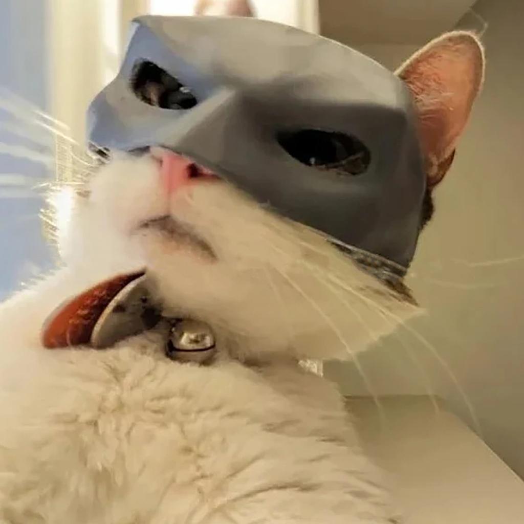 Bat-Cat - Маска летучей мыши Маска кошки