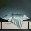 Silk Pillowcase 100% Mulberry Anti-Bacterial Anti-Dust Mite Hair Care Luxury Home Bedding Single Pair