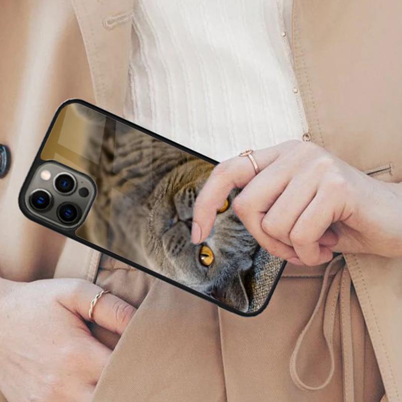 Beautiful Grey British Shorthair Cat Magnetic Phone Case For iPhone 17 Air 16 14 13 12 Pro Max 15 Plus Wireless MagSafe Cover