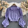 Bubble Sleeve Blouse Top Women's Waisted Short Chic Temperament Shirt