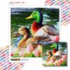 New Arrival 5D DIY Full Circle Diamond Painting "Duck" Embroidery Cross Stitch Home Decor Gift