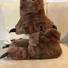 2024 New Chocolate Bear Paw Fur Slippers for Women Creative Cosplay Animal Claw Fluffy Shoes for Indoor Slip On Cotton Slides