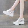 Mesh Hollow Breathable Dad Shoes Women's Summer 2025 New Thick-soled Heightening Thin Little White Shoes Sports Casual Net Shoes