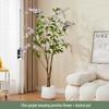Silk Turtle Back Potted Plant: Indoor Floral Decoration for Weddings, Homes, and Windows